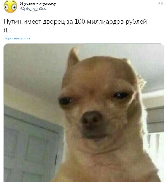 Скриншот